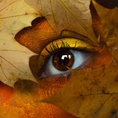 Final Beat Version 2025@Autumn Dream