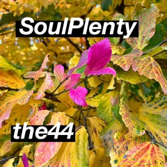 Soul Plenty The44