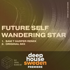 DHS Premiere: Future Self - Wandering Star (Original Mix)