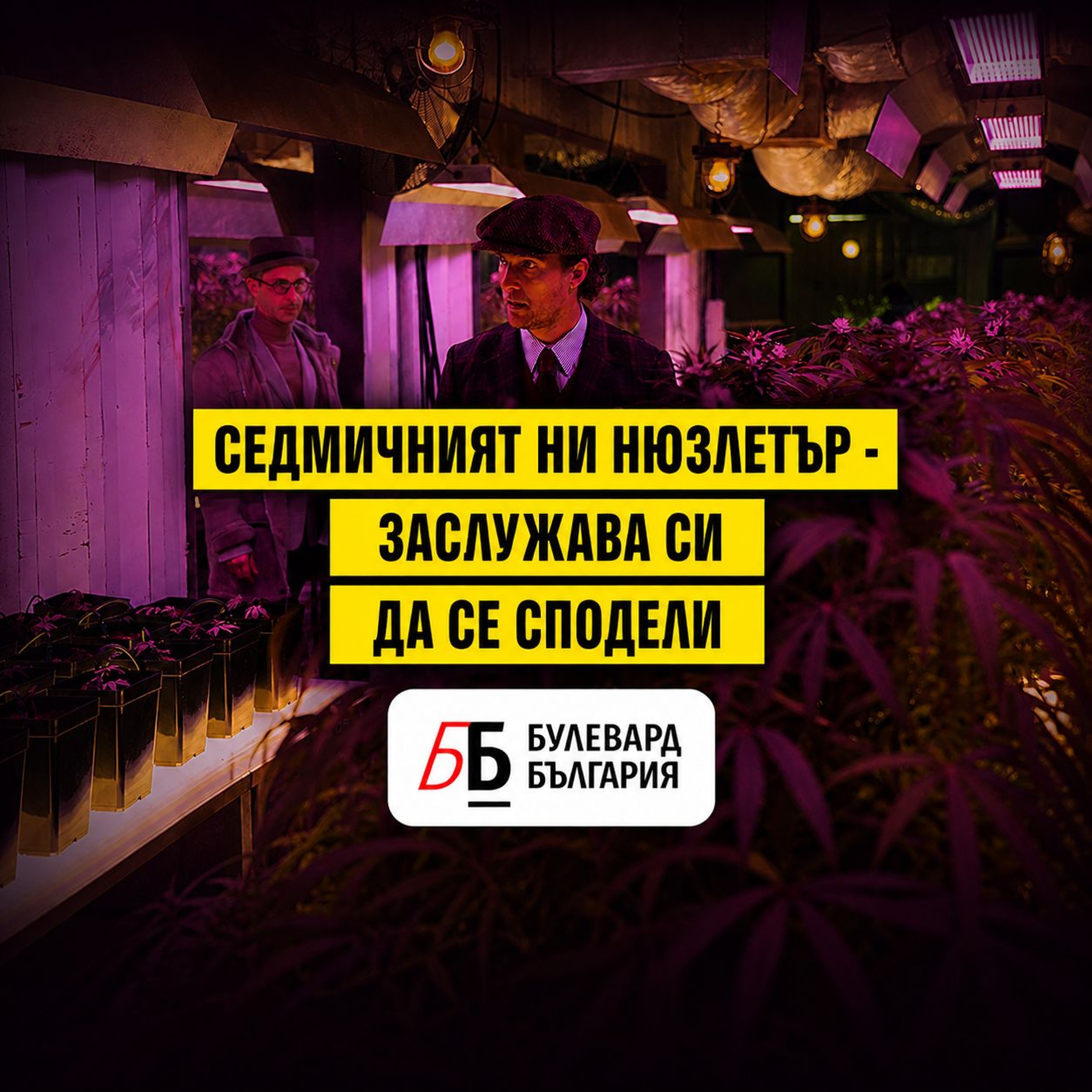 Voiceletter: Старите кучета и новите джентълмени. Епизод 13
