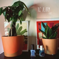 No Alarm