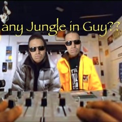 any Jungle in Guy?? (vinyl mix)