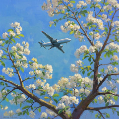 Từ ngày con xa rời quê là ngày con phải cố gắng