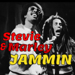 Stevie & Marly were JammiN