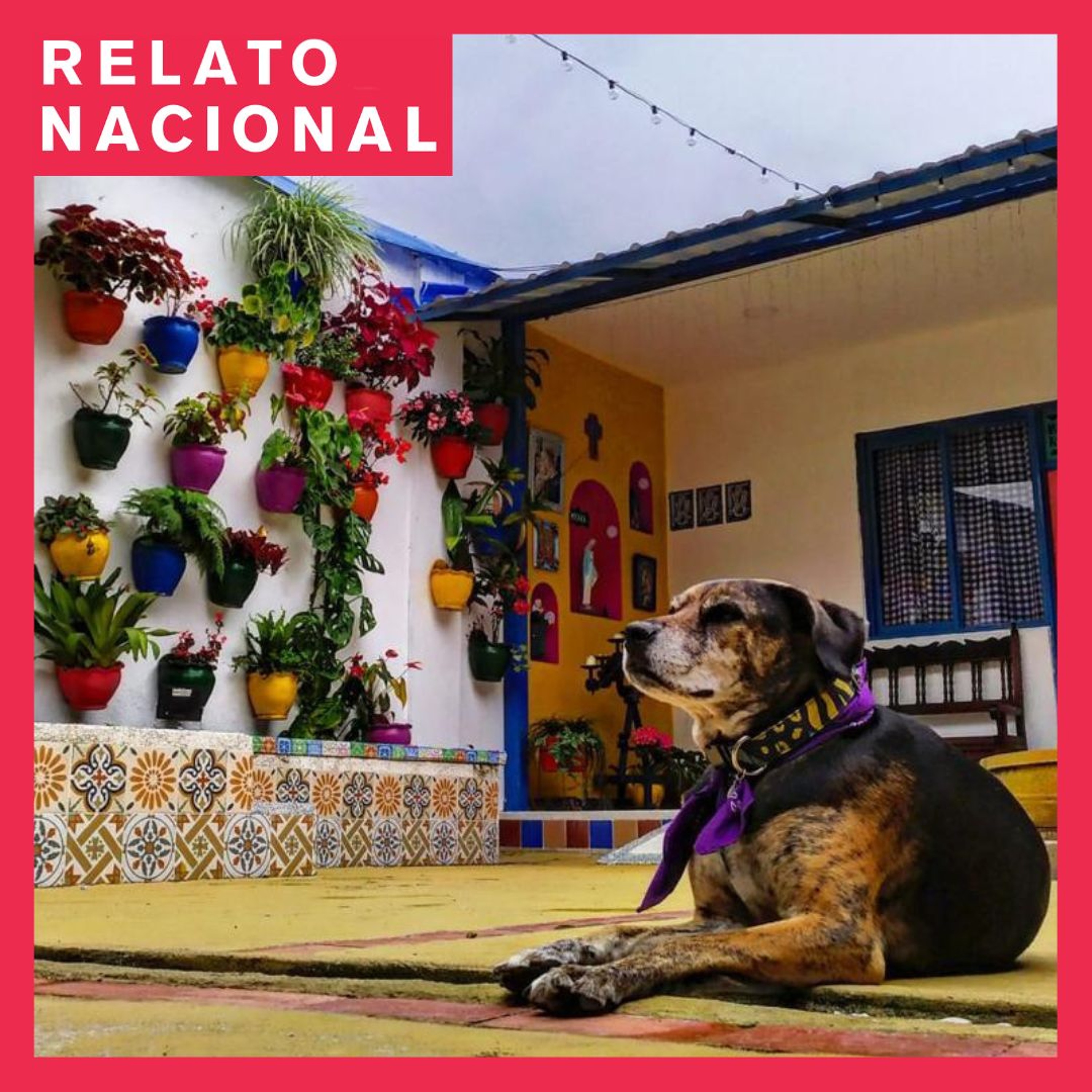 Relato Nacional