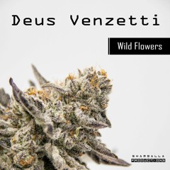 Deus Venzetti - Wild Flowers (Original)
