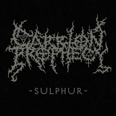 Carrion Prophecy - Sulphur [Instrumental demo]