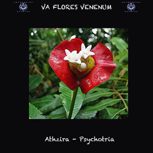 8. Athzira - Psychotria (194 BPM) VA Flores Venenum - Metacortex Records