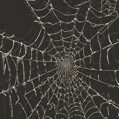 SPIDER'S WEB [TRIP HOP/RAP FREESTYLE TYPEBEAT]