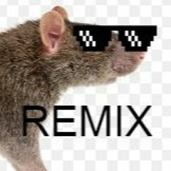 Release The Rats (Nolan Remix)