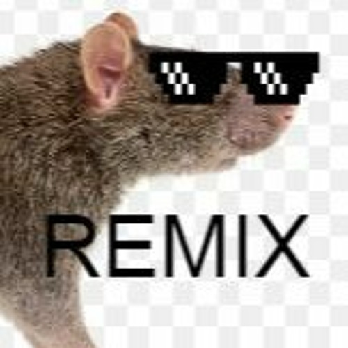 Release The Rats (Nolan Remix)