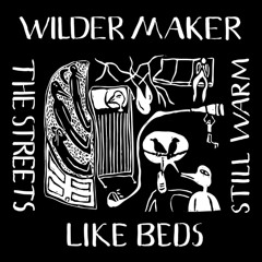 Wilder Maker - "Strange Meeting with Owls"