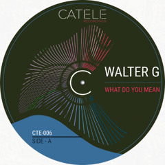 Walter G - What Do You Mean (Original Mix)