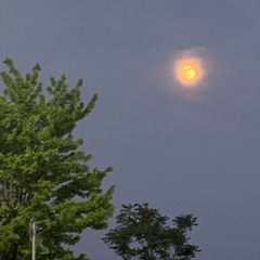 No Friends (My Manz)