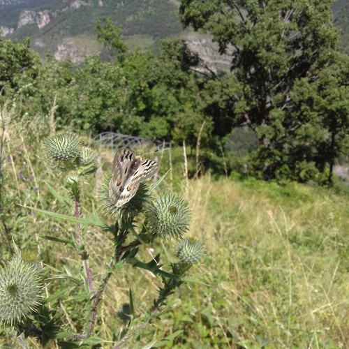 Après la tempête, des récits pour un temps troublé
