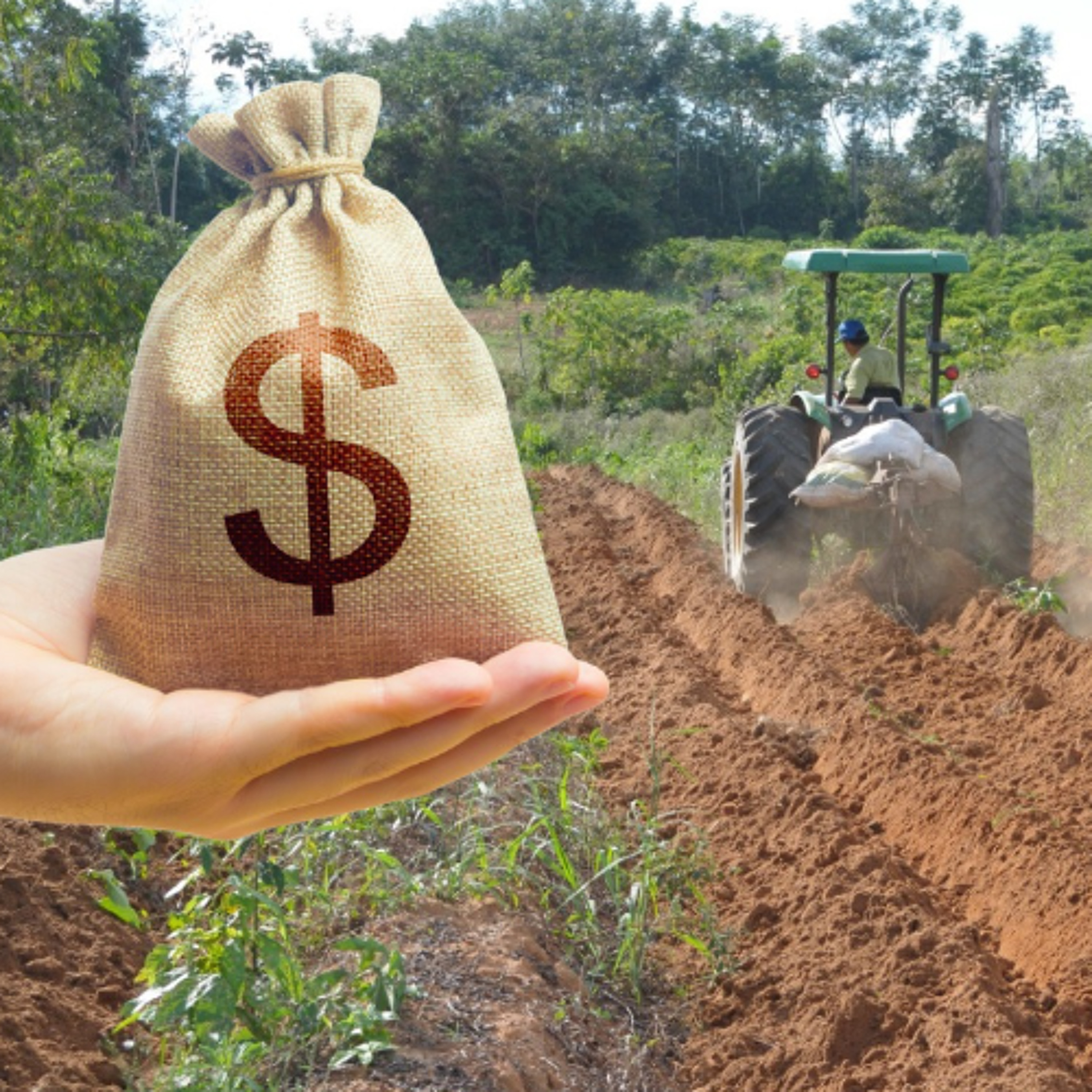Novas alíquotas do Funrural entram em vigor em abril e exigem adequação dos produtores rurais episode artwork