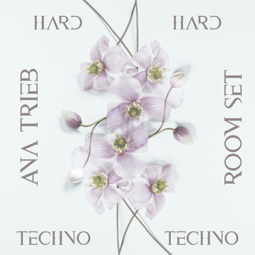ROOM SET HARD TECHNO_AnaTrieb
