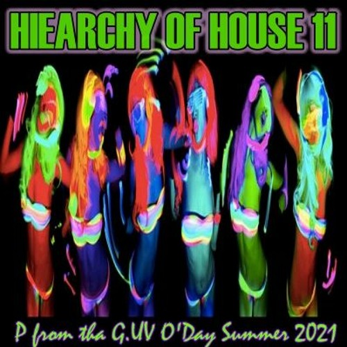 THE ESSENTIAL BEST OF CLASSIC HOUSE SERIES HIEARCHY OF HOUSE 11