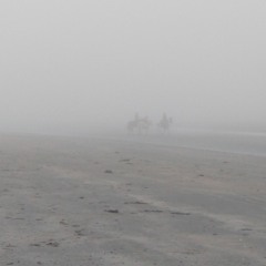 The Beach Joys Picnic