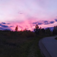 Little Baby Bird Comes Back