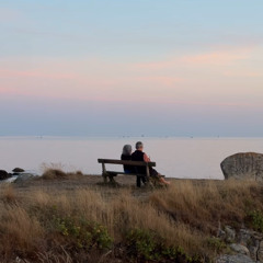 KNOTS TOO HARD TIE, BANDS TOO TIGHT TO LEAVE.