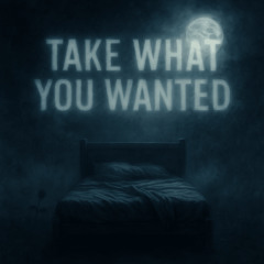 Take What You Wanted (Feat. Aubrey)