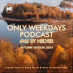 ONLY WEEKDAYS PODCAST #46 (AUTUMN EDITION 2024) [Mixed by Nelver]