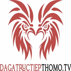 Dagatructiepthomotv - Xem da ga truc tiep Thomo hom nay