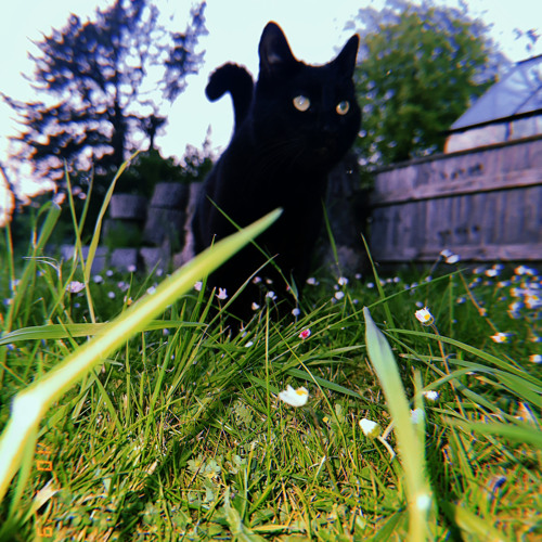 Assistance (feat. halfhearted)