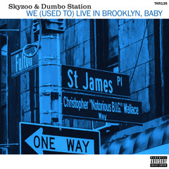 We (Used to) Live in Brooklyn, Baby