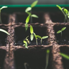 Emotion Coaching Podcast