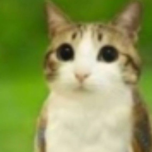 me when im autismtic
