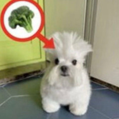 fk the world  (prod.ariza)