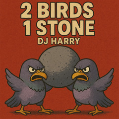 2 Birds 1 Stone (prod. isaiah 22)