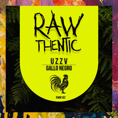 PREMIERE: u z z v feat. P4 — Gallo Negro [Rawthentic]