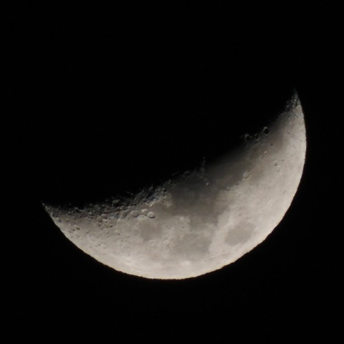 𝙤𝙧𝙘𝙝𝙚𝙨𝙩𝙧𝙖𝙡