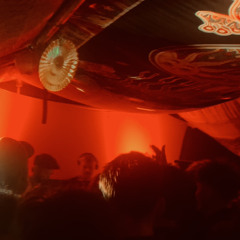 TOMMYG - MINTEY FESTIVAL 2024 LIVE SET