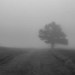 Hollow