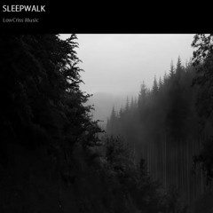 SLEEPWALK / LoFi-HipHop Beat