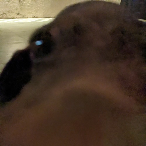 KYA