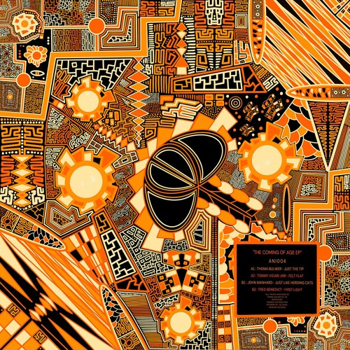 Various Artists - The Coming of Age (ANI004)