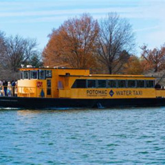 Review Special Price Water Taxi From Wharf Or Georgetown