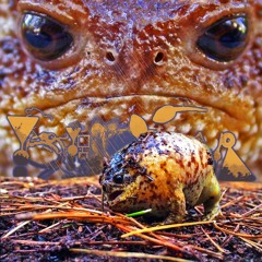 Dirt Adhering To Engender Masquerade