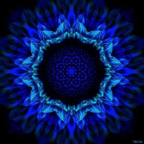 Starting Over - Psytrance Mix [FREE DOWNLOAD]