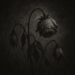 Haunted | Free R&B Beat