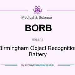 BORB Birmingham Object Recognition Battery