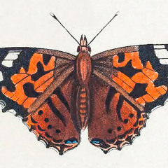 Hypnotic Techno DJ Set The Deepest Hour _2025 1120_Dark mix