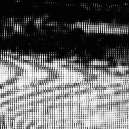 Cult Member - Live From Moscow (Slowed x Reverb)