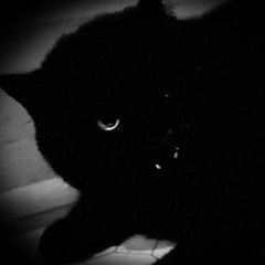 Macabre.