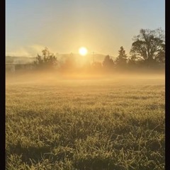 Prisoners of Hope (Extended Version)